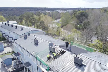 Dogge Doggelito Far Nytt Tak Fran Kami I Anders Knackar Pa